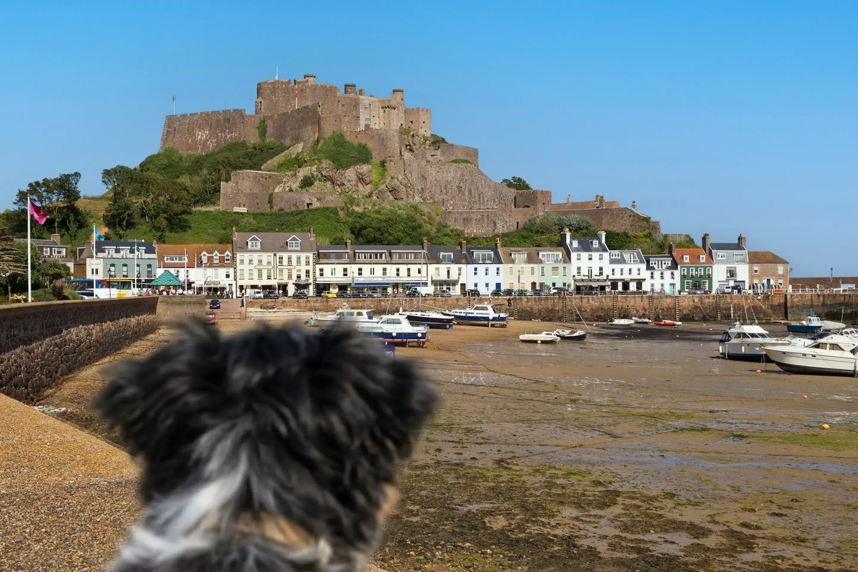 Jersey harbour and castle